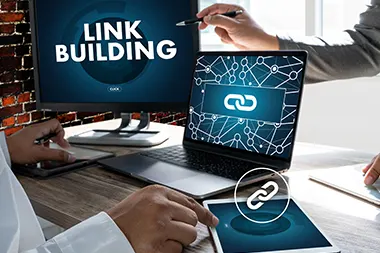 Audit Netlinking